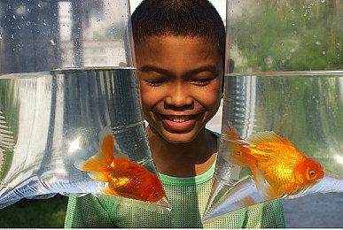 Nvidia技术演示游戏《赛车RTX》于11月提供下载